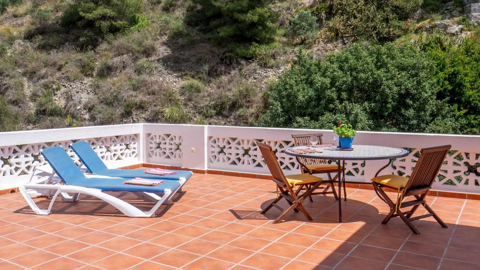 Lovely Rooftop Apartment La Palmera Azul Almunecar
